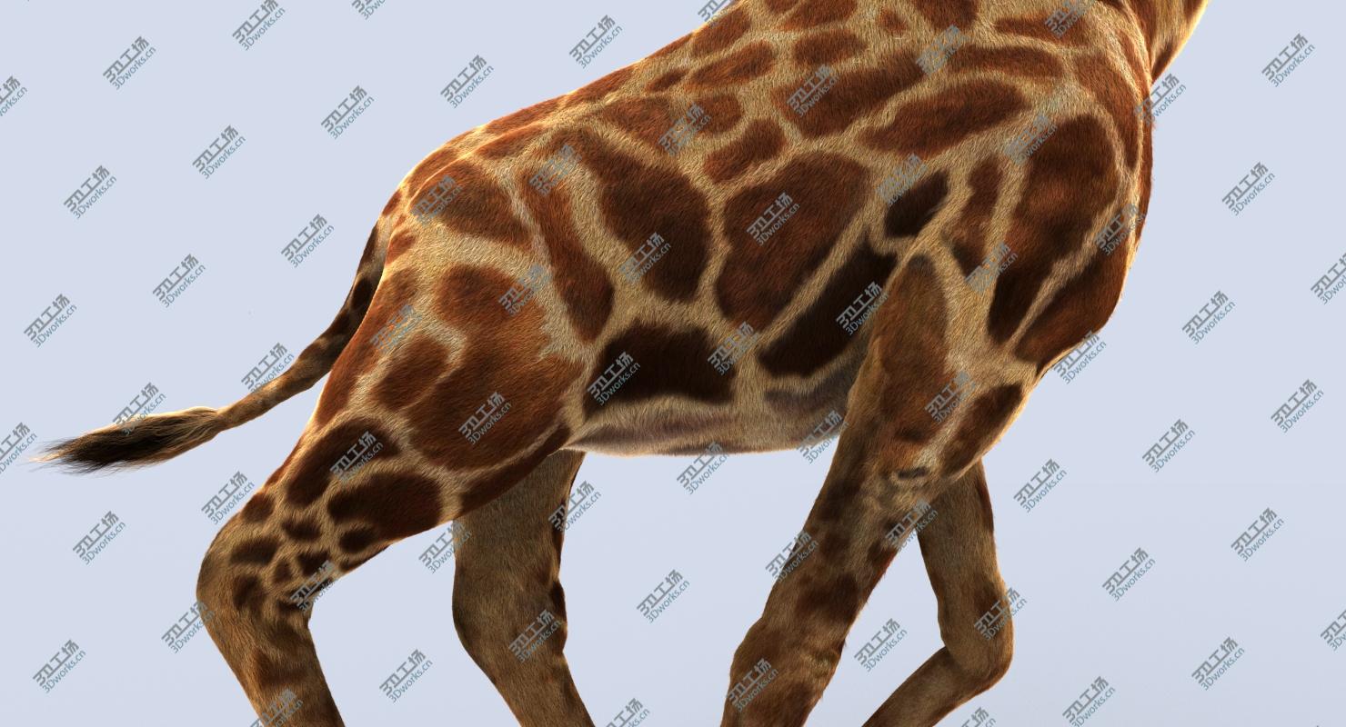 images/goods_img/202104022/Giraffe (2) (RIG) (FUR) 3D model/5.jpg